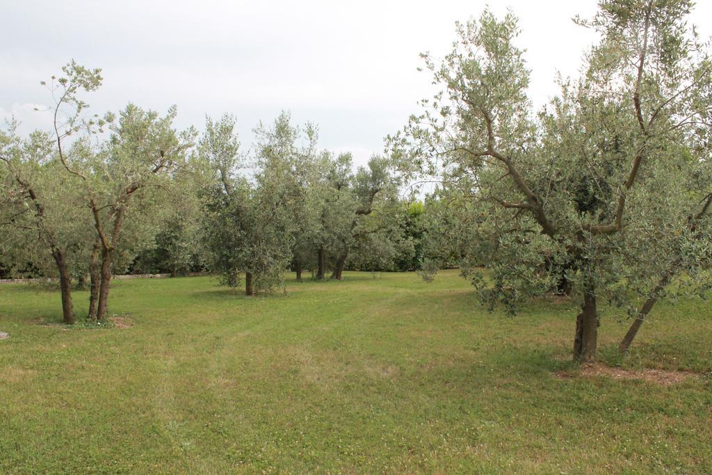Agriturismo Piano Grande Avigliano Umbro Zimmer foto